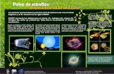 Polvo de estrellas: Origen estelar de los seres vivosilozada/posters_astrobiology/low_format/... · Mueren en una explosión de supernova arrojando los elementos ... interactuantes