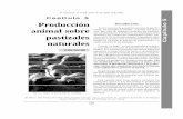 Capítulo 5 Producción animal sobre pastizales naturales · puesta productiva de los animales ante distintas op-ciones de manejo del pastizal. ... Componentes del requerimiento energético