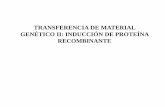TRANSFERENCIA DE MATERIAL GENÉTICO II: INDUCCIÓN DE ... · OBJETIVOS Conocer el fundamento de la inducción de la síntesis de proteínas recombinantes en E. coli Realizar la inducción