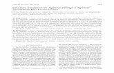 Estudios meióticos en Agalinis fiebrigii y Agalinis ...lillo.org.ar/revis/lilloa/2015-52-2/06.pdf · 154 V. de los A. Páez et al.: Estudios meióticos en Agalinis fiebrigii y A.