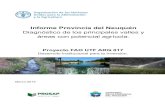 Informe Provincia del Neuquén - fao.org · Informe Provincia del Neuquén Diagnóstico de los principales valles y áreas con potencial agrícola. Proyecto FAO UTF ARG 017 Desarrollo