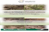 Cálculo del nivel de complejidad ambiental Proyecto … · Estudio de Impacto Ambiental Parque Eólico Ameghino Ref.: 058716 Rev.: VF Página 2 de 12 Enero 2017 ... seguro ambiental.