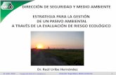 DIRECCIÓN DE SEGURIDAD Y MEDIO AMBIENTE …akbal.imp.mx/foros-ref/xviii/SMA/SMA 6.4.pdf · caracterización ambiental de un sitio, hasta la restauración del mismo. 12 julio, 2012