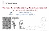 Tema 4. Evolución y biodiversidad - …dpbiologia.weebly.com/uploads/2/1/5/5/21553524/gtp_t4.evolución_y... · radiación adaptativa, mediante la cual, muchas especies similares