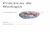 Prácticas de Biologíamanetweb.com/quimica/pract19/protocolo_practicas_Biologia_5.pdf · Protocolo de práctica de Biología Ciclo escolar: 2018-2019 Institución: Colegio Miraflores
