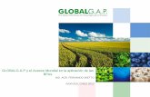 GLOBALG.A.P y el Avance Mundial en la aplicación … · • La norma GLOBALGAP fue diseñada principalmente para demostrar a los ... de los Standares BPA a nivel Global - Generador