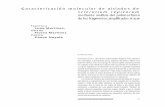 Caracterización molecular de aislados de sclerotium …elementos.buap.mx/num49/pdf/53.pdf · 2017-08-28 · fermedad se vuelve la mayor limitante en la producció n de los cultivos