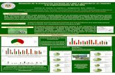 Situación de la producción hortícola en ... - Horticultura · de Gestión Ambiental – SENASA, 2010), calculando la frecuen cia de productores que pueden agruparse en 3 niveles