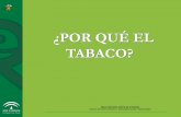¿POR QUÉ EL TABACO? - Junta de Andalucía · Disminuir prevalencia e incidencia: Promoción, Prevención ... Encuesta Nacional de Salud de España 03/06 PORCENTAJE DE FUMADORES