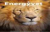 Energyvet VADEMECUM.pdf · Dr. Lubomír Chmelař, médico veterinario y director de desarrollo científico de Energy. CASI UNA PANACEAC ada producto está diseñado para