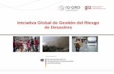 Iniciativa Global de Gestión del Riesgo de Desastres · Análisis de riesgos o nte ... Reducción del Riesgo de Desastres en las inversiones públicas ... Ejercicios de simulación