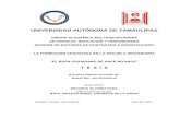 UNIVERSIDAD AUTÓNOMA DE TAMAULIPAS - …bibliotecadigital.tamaulipas.gob.mx/archivos/descargas/2b2b4c16180... · Hago de su conocimiento que la tesis “LA FORMACIÓN CIUDADANA EN