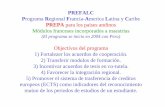 (El programa se inicio en 2004 con Peru) - …red.pucp.edu.pe/rpo/pdfs/ONL Lima 2008.pdf · Trabajos dirigidos: ejercicios sobre las origenes fisicas dielectricos, conductores ...
