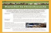 Rancho la Hondonada - Flor de Alfalfaflordealfalfa.com/wp-content/themes/flordealfalfa/pdf/flor-de... · se mezcla con el suero de la quesería y el agua de lavado de sala de ordeña.