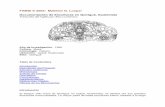 Documentación de Esculturas en Quiriguá, Guatemala · maestras de la antigua escultura maya, y representan los encargos monumentales ... de Antropología e Historia de Guatemala,