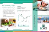 CAMPO DE TRABAJO Informes - utsem-morelos.edu.mxutsem-morelos.edu.mx/files/tripticos/Gastronomia-UTSEM.pdf · Matemáticas aplicadas a la gastronomía Introducción a la gastronomía