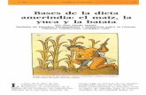 Bases de la dieta amerindia: el maíz, la yuca y la batatadigital.csic.es/bitstream/10261/44615/1/JPardo-1992-Bases de la... · o de las diversas costumbres alimenticias, ... de la