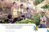 De la práctica agroecológica - …alianzaagroecologia.redelivre.org.br/.../Estudio-de-caso-NICARAGUA.pdf · estimada de Nicaragua en el 2015 es de 6.17 millones de habitantes, 51