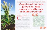 guiagronicaragua.comguiagronicaragua.com/wp-content/uploads/2016/11/Agricultores-presa... · agricultores que siembran granos básicos en monocultivos producen para el mercado y que