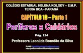 Professora Leonilda Brandão da Silva · celomados anelídeos moluscos artrópodes equinodermas cordados . CAPÍTULO 10 ...