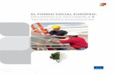 EL FONDO SOCIAL EUROPEO: DESARROLLO …ec.europa.eu/employment_social/esf/docs/sf... · Las directrices del FSE para el periodo 2007-2013 han hecho especial hincapié en la adaptabilidad