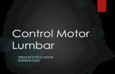Control Motor Lumbar - kinex.cl Motor Lumbar.pdf · Cuando sistema pasivo se encuentra defectuoso y no ... “Inestabilidad mecánica” es la perdida de control motor de un ... P.