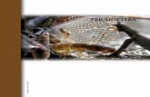 Fotografía: Danny Vázquez - rbt.biologia.ucr.ac.crrbt.biologia.ucr.ac.cr/attachments/suppls/sup58-4... · ubicación de sus redes filtradoras. para eso, la larva emite un sonido