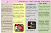 Reglas básicas para la Nutrición Óptima Senior · puede ser conveniente, porque todo se puede cocinados junto en una cacerola ... colectiva antimonopolio, uno de los objetivos