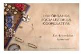 LOS ÓRGANOS SOCIALES DE LA COOPERATIVAocw.uc3m.es/derecho-privado/derecho-de-las-corporativas/material... · Por otro medio que garantice su recepción ... Elecciones o revocaciones