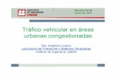 semana verde-tráfico vehicular v2 - Instituto de ... · Vehicular El flujo vehicular en un momento dE resultado de una serie de decisione la red vial. INSTITUTO DE INGENIERíA UNAM
