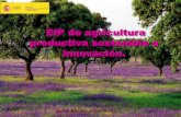 EIP de agricultura productiva sostenible e innovación.juanadevega.org/site/assets/files/1872/212-02-isabel-bombal.pdf · innovación”: Las EIP para acelerar la transferencia de