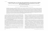 LESIONES DE LA VIA BILIAR DURANTE COLECISTECTOMIA …cidbimena.desastres.hn/RMH/pdf/2010/pdf/Vol78-3-2010-4.pdf · LESIONES DE LA VIA BILIAR DURANTE COLECISTECTOMIA ... complicaciones