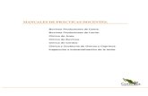 MANUALES DE PRÁCTICAS DOCENTES. - …conevet.org.mx/appvisitas2013/public/uploads/14_9_21__7.pdf · Clínica de Bovinos. Clínica de Cerdos- Clínica y Zootecnia de Ovinos y Caprinos.