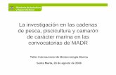 La investigación en las cadenas de pesca, piscicultura … · La investigación en las cadenas de pesca, piscicultura y camarón de carácter marina en las convocatorias de MADR