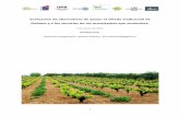 Evaluación de alternativas de apoyo al viñedo ... · 1 Evaluación de alternativas de apoyo al viñedo tradicional de Doñana y a los servicios de los ecosistemas que suministra.