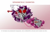 EPIGENETICA Y DIABETESredgdps.org/gestor/upload/file/V Jornadas redGDPS Alicante 2012... · y ambientales. Dieta Ejercicio ... Analisis de metilación de DNA de los promotores de