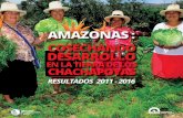 AMAONAS - INICIO · mazonas es una de las regiones donde la Autoridad Nacional, el ... como la Feria de La Asociación Ameri-cana de Cafés Especiales, se lograron