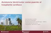 Asistencia Ventricular como puente al trasplante cardíaco · trasplante cardíaco José González Costello Servei de Cardiologia Hospital Universitari de Bellvitge - IDIBELL Universitat