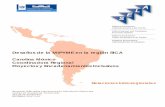 Carolina Mónico Coordinadora Regional Proyectos y ... · Institución creada en el marco del Sistema de la Integración Centroamericana y en el Subsistema de Integración Económica,