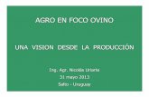 AGRO EN FOCO OVINO - legacy.iica.intlegacy.iica.int/Esp/regiones/sur/uruguay/Documentos de la Oficina... · ORIENTACION PRODUCTIVA ACTUAL. Vacunos: Ciclo completo “abierto ”con
