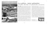 La pita, una planta - Home - Pita Escuelapitaescuela.org/download/publicaciones/La Pita, una planta usada... · de fibras, que se utilizaron para hacer cuer-das de barco y papel.