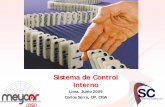 Sistema de Control Interno - osinergmin.gob.pe · RC N°320-2006-CG. (continuación) (i) Promover la eficiencia, eficacia, transparencia y economía en las operaciones de la entidad,