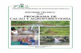 INFORME TECNICO 2006 PROGRAMA DE CACAO Y … · 2010-12-07 · el Programa. Con manejo oportuno donde la poda y el retiro periódico de frutos enfermos destacan por su importancia,