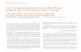 La organización colectiva para la producción ruralrevistas.bancomext.gob.mx/rce/magazines/403/9/RCE9.pdf · ... Inicio del proceso de modernización. 3) Primeros, intentos de aprovechamiento