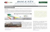 BOLETÍN - ceadl.org.bo electronico... · Estado sobre el contenido del diseño final del proyecto por con- ... ma cuenca se construirá la hidroeléctrica Rositas, que ya cuenta