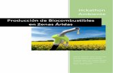 Producción de Biocombustibles en Zonas Áridasdesafiospublicos.argentina.gob.ar/uploads/Respuesta/3fb257... · Disposición de una planta de producción de ... tal como metanol o