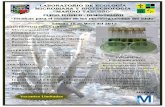 Curso de Suelos - lamolina.edu.pe de Suelos.pdf · CURSO TEÓRICO - DEMOSTRATIVO “Técnicas para el estudio de los microorganismos del suelo” Sábado 18 de Mayo del 2013 INFORMES