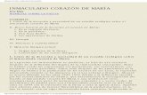 INMACULADO CORAZON DE MARÍA - mariologia.org · eran además años de intenso florecimiento de la piedad mariana, en la ... sino que se apoya en fundamentos tan ... centro de la