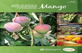 HS 1190 Revisado 2017 - EDISedis.ifas.ufl.edu/pdffiles/HS/HS119000.pdf · Manual de Prácticas para el Mejor Manejo Postcosecha del Mango'. Renuncia de Responsabilidad: El National