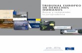 TRIBUNAL EUROPEO DE DERECHOS HUMANOS - … · Función del Fiscal Utilización de los Tratados del Consejo de Europa en la jurisprudencia del Tribunal, ... Disponibles en inglés,